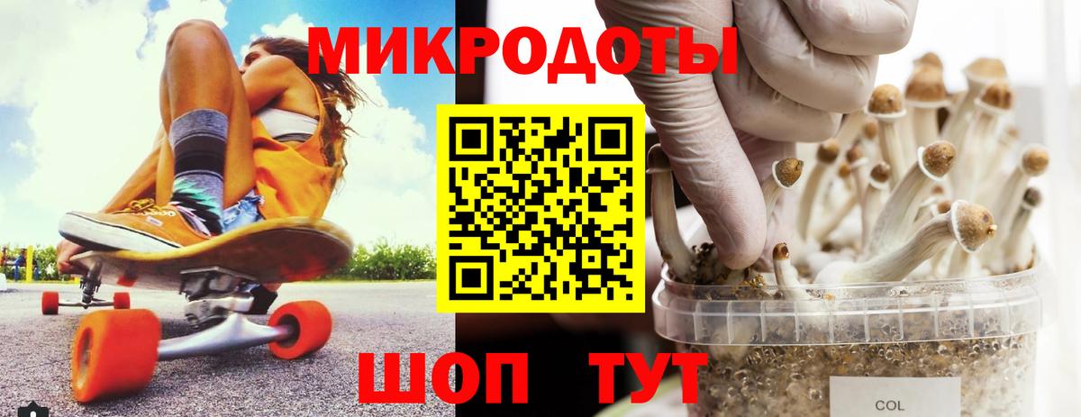 закладка  Псилоцибиновые грибы Magic Shrooms  Вход с VPN  Псилоцибиновые грибы Magic Shrooms  Темрюк 